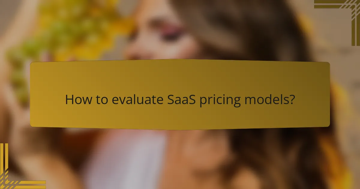 How to evaluate SaaS pricing models?