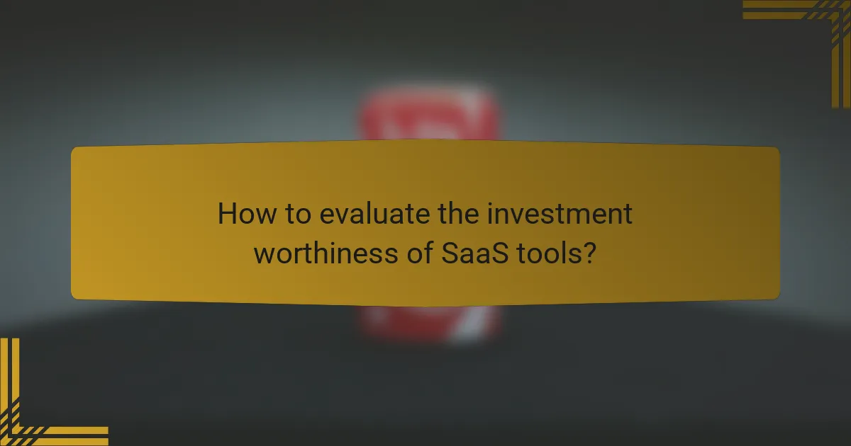 How to evaluate the investment worthiness of SaaS tools?