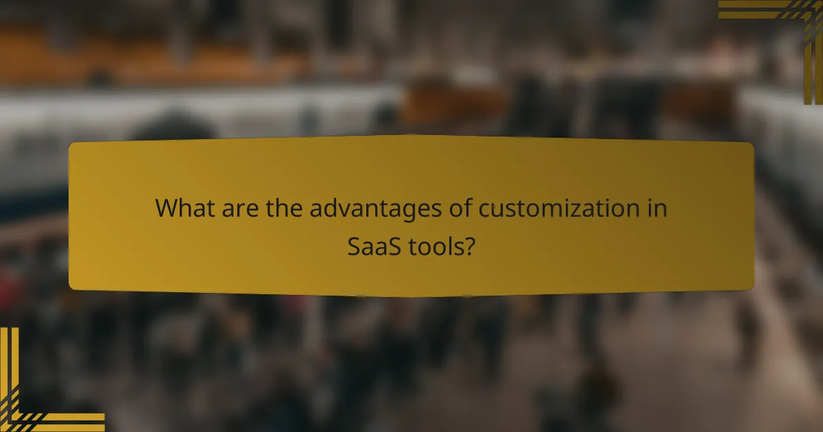 What are the advantages of customization in SaaS tools?