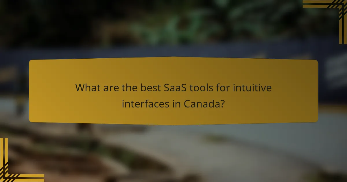 What are the best SaaS tools for intuitive interfaces in Canada?