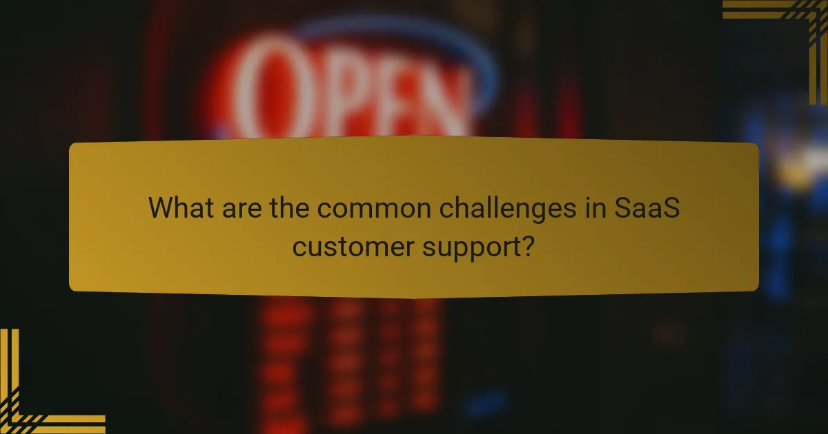 What are the common challenges in SaaS customer support?